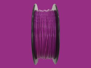 Translucent Cyclamen