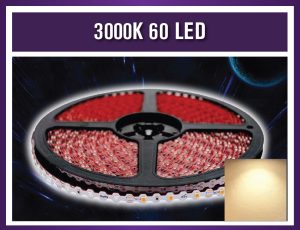 3000K 60 LED 100M