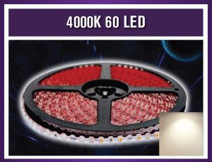 4000K 60 LED 100M
