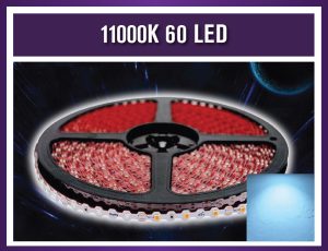 11000K 60 LED 100M