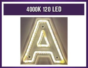 4000K 120 LED 100M